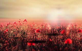 Kyrgyzstan: Location, Culture, and What Makes This Central Asian Gem Unique